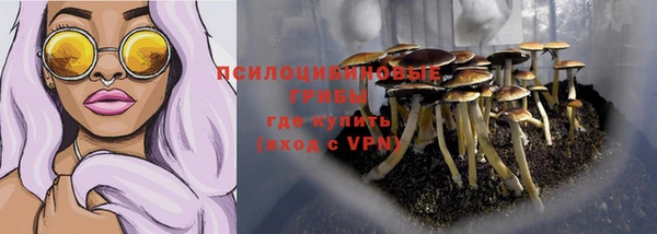 молекула духа Нязепетровск