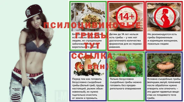 молекула духа Нязепетровск