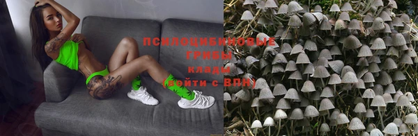 амф Няндома