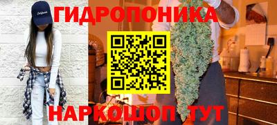 mdma Аргун