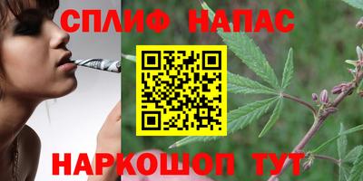 mdma Аргун