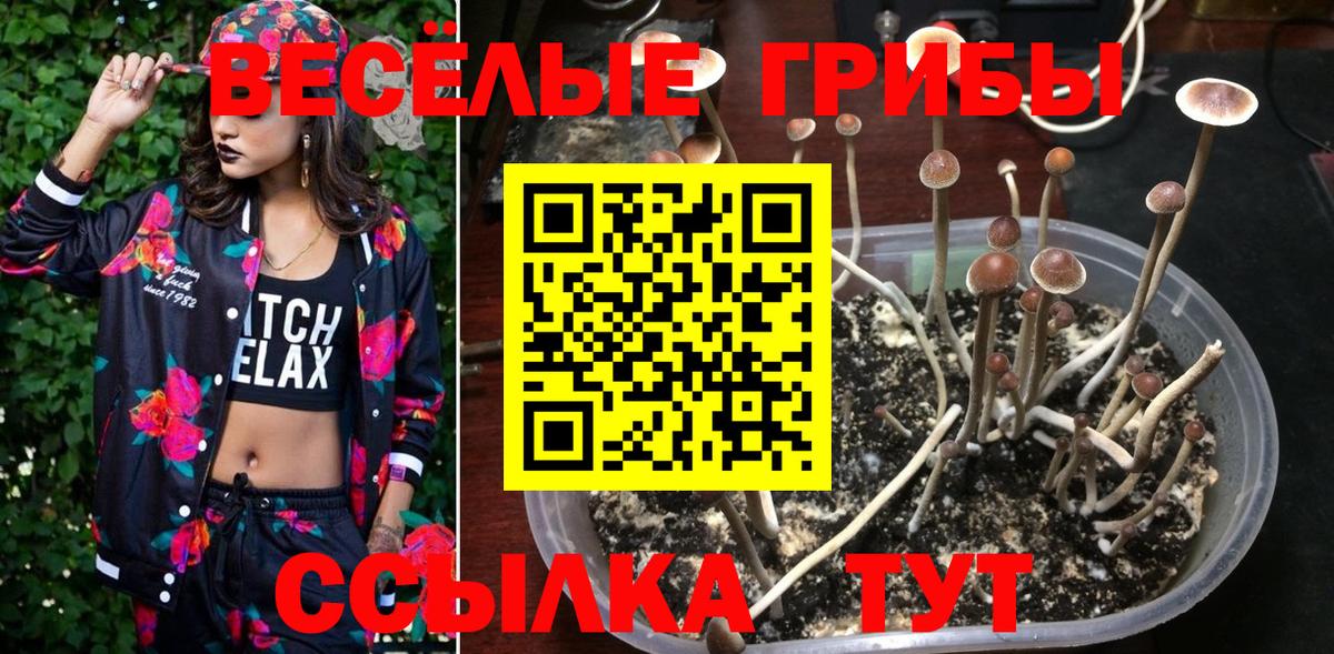 Галлюциногенные грибы MAGIC MUSHROOMS  Асино 