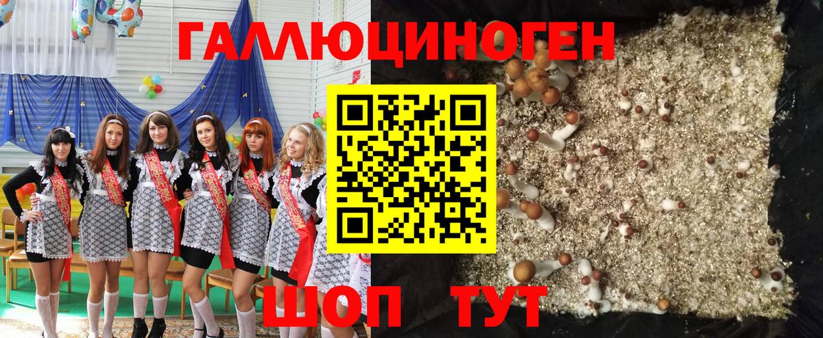 Галлюциногенные грибы Psilocybine cubensis  Вход с VPN  Асино 